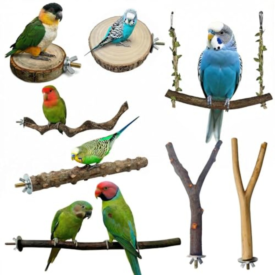 Health & Wellness Kuala Lumpur Reviews - 8 Stück Vogelsitzstangen aus Naturholz für
