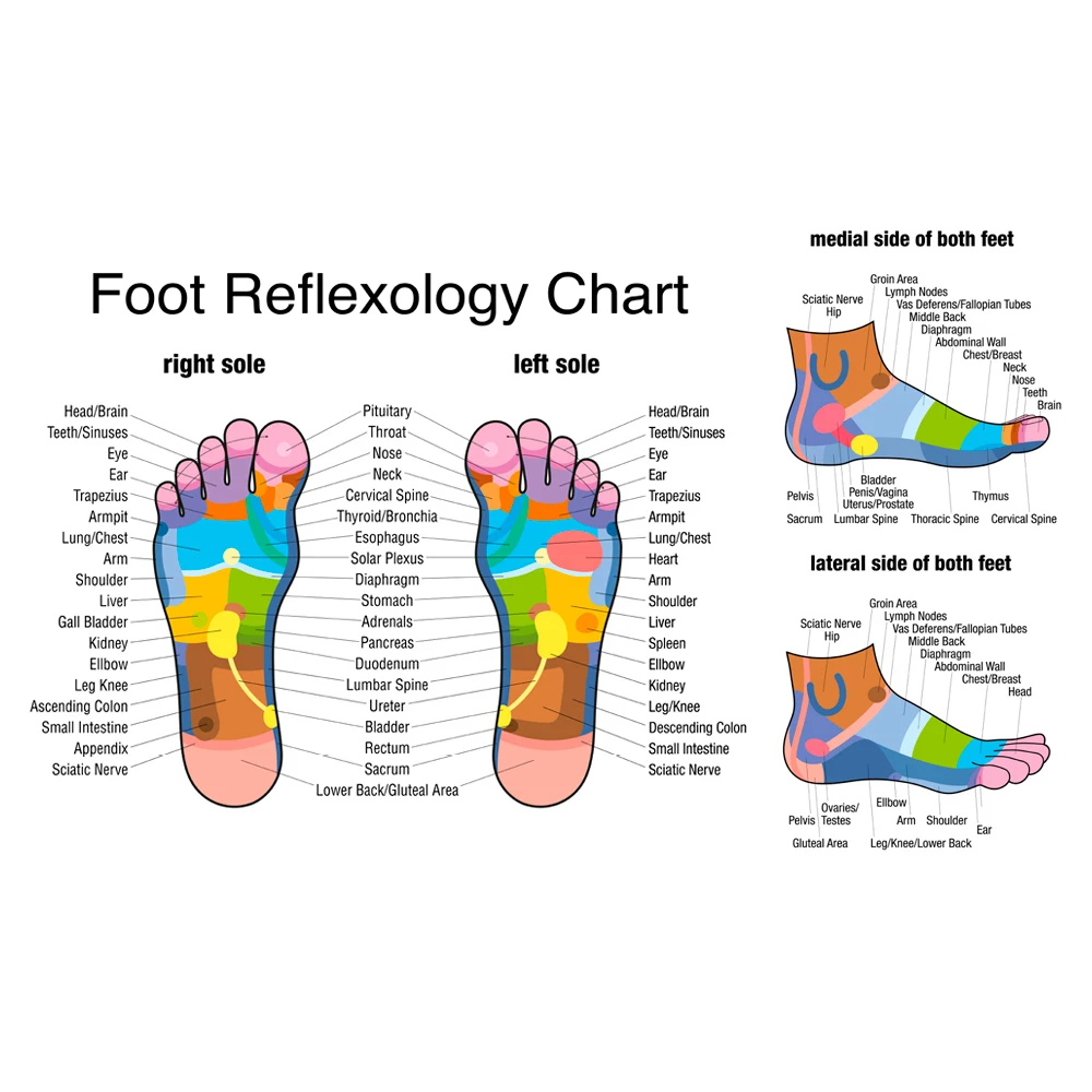 Fußmassagerolle aus Holz linde – Reflexology Foot Roller Bewertung und Preis
